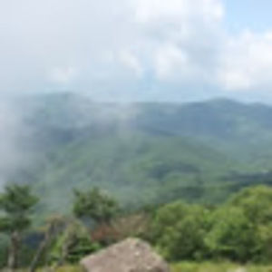 Meet your Posher, Dakota